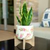 Accessories Flora Bunda | 12" Snake Plant In Floral Ceramic